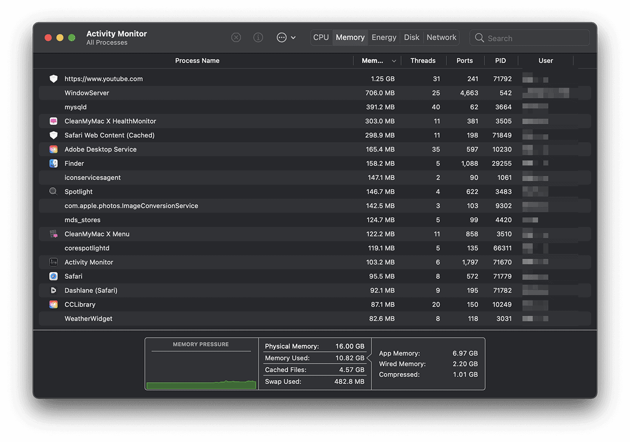 macOs activity monitor memory usage