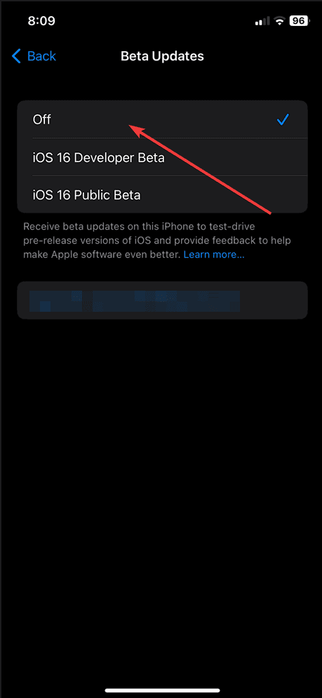 turning off beta updates iphone